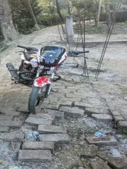 TVS Scooty Pep +